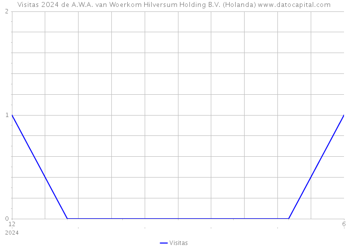 Visitas 2024 de A.W.A. van Woerkom Hilversum Holding B.V. (Holanda) 