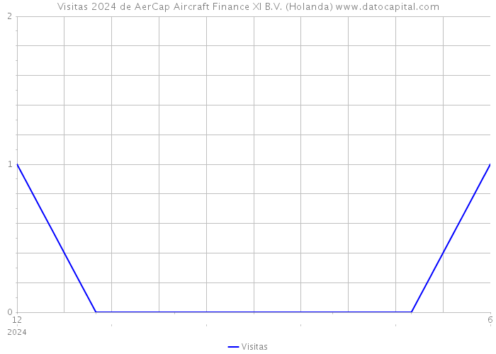 Visitas 2024 de AerCap Aircraft Finance XI B.V. (Holanda) 