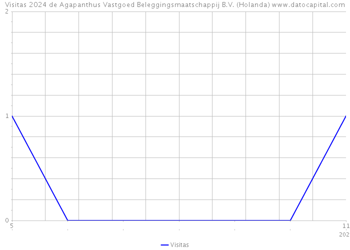 Visitas 2024 de Agapanthus Vastgoed Beleggingsmaatschappij B.V. (Holanda) 