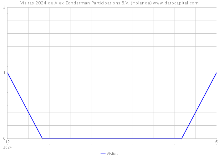 Visitas 2024 de Alex Zonderman Participations B.V. (Holanda) 