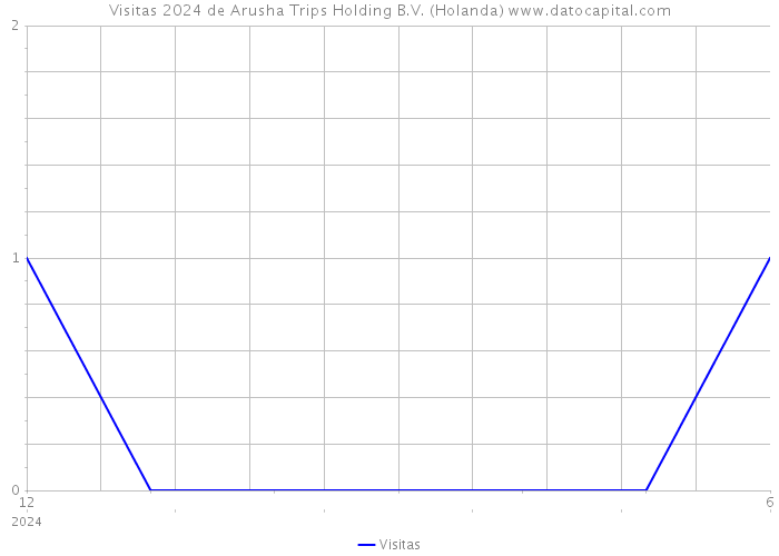 Visitas 2024 de Arusha Trips Holding B.V. (Holanda) 