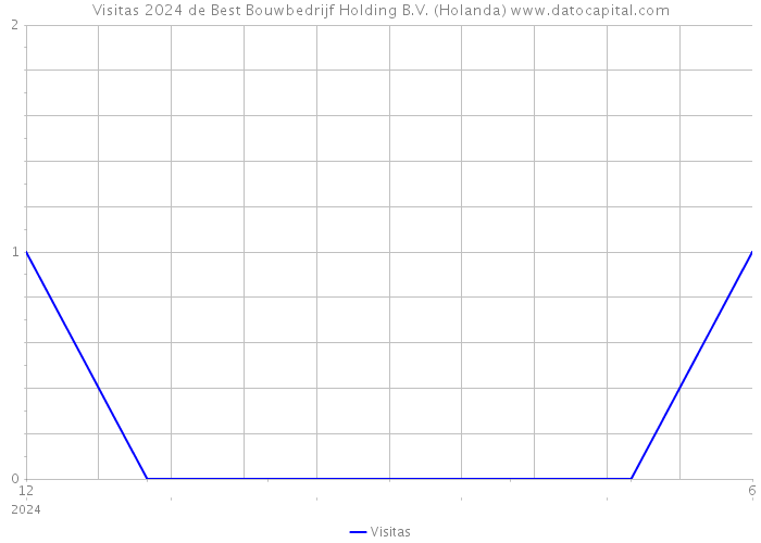 Visitas 2024 de Best Bouwbedrijf Holding B.V. (Holanda) 