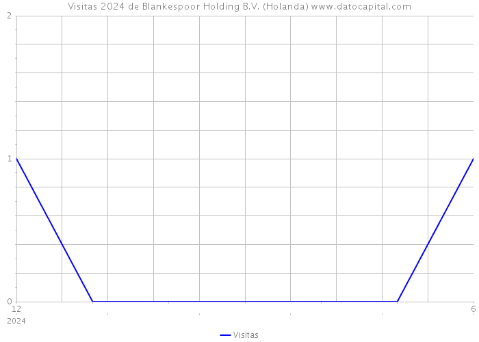 Visitas 2024 de Blankespoor Holding B.V. (Holanda) 