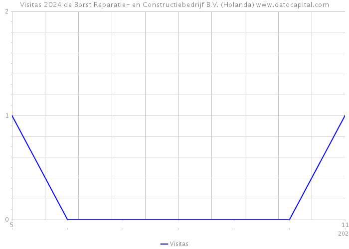 Visitas 2024 de Borst Reparatie- en Constructiebedrijf B.V. (Holanda) 