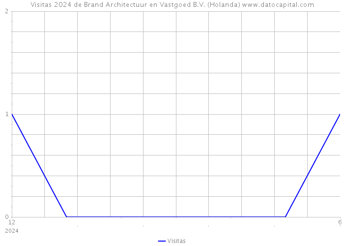 Visitas 2024 de Brand Architectuur en Vastgoed B.V. (Holanda) 