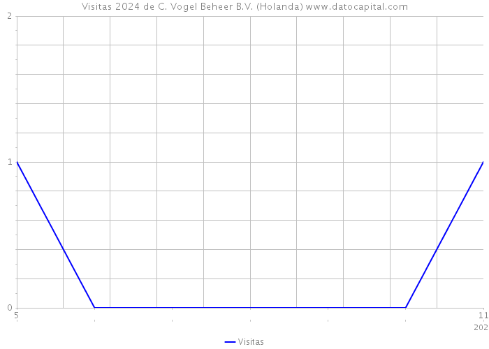 Visitas 2024 de C. Vogel Beheer B.V. (Holanda) 