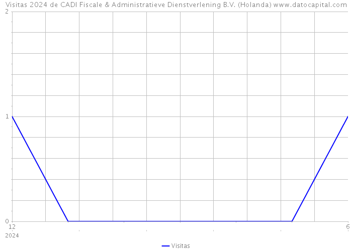 Visitas 2024 de CADI Fiscale & Administratieve Dienstverlening B.V. (Holanda) 
