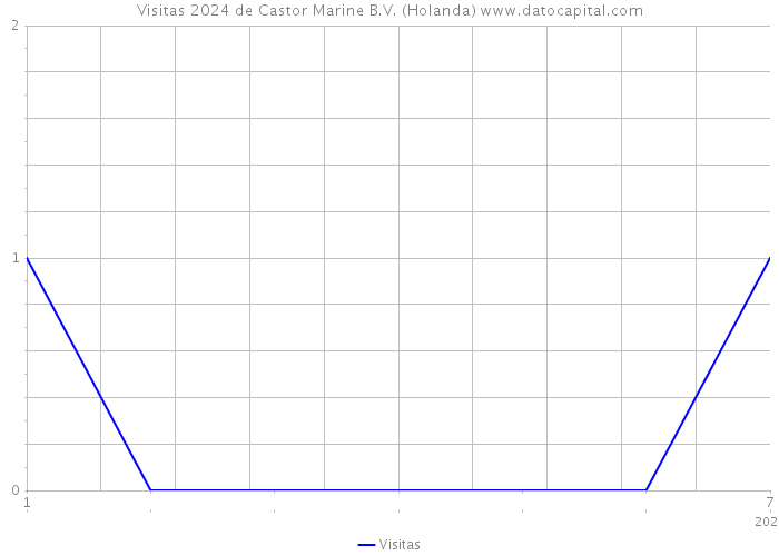 Visitas 2024 de Castor Marine B.V. (Holanda) 