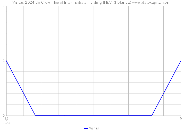 Visitas 2024 de Crown Jewel Intermediate Holding II B.V. (Holanda) 