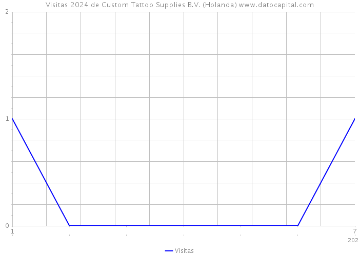 Visitas 2024 de Custom Tattoo Supplies B.V. (Holanda) 