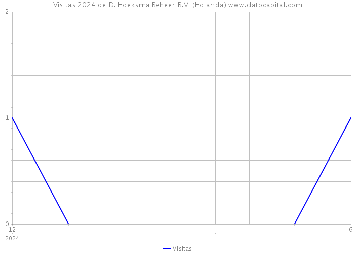 Visitas 2024 de D. Hoeksma Beheer B.V. (Holanda) 