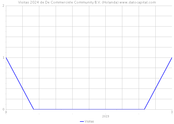 Visitas 2024 de De Commerciële Community B.V. (Holanda) 