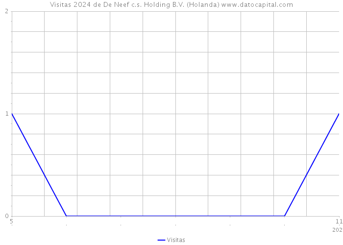 Visitas 2024 de De Neef c.s. Holding B.V. (Holanda) 