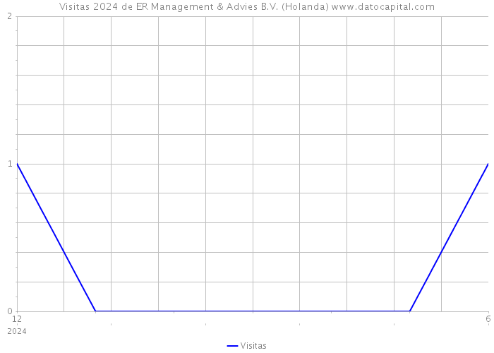 Visitas 2024 de ER Management & Advies B.V. (Holanda) 