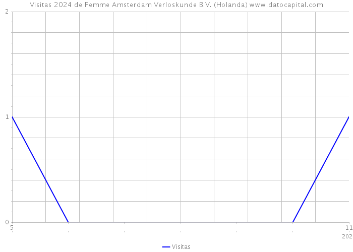 Visitas 2024 de Femme Amsterdam Verloskunde B.V. (Holanda) 