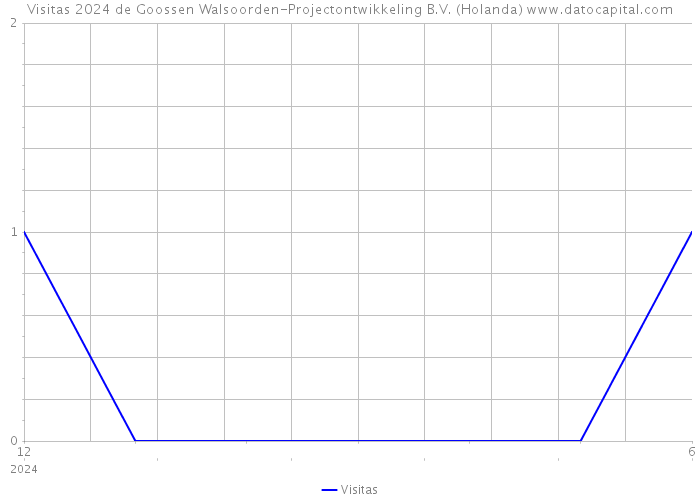 Visitas 2024 de Goossen Walsoorden-Projectontwikkeling B.V. (Holanda) 