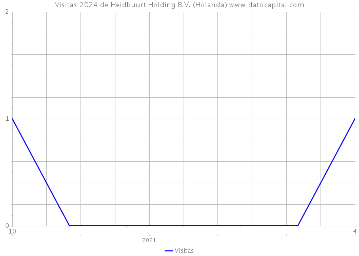 Visitas 2024 de Heidbuurt Holding B.V. (Holanda) 