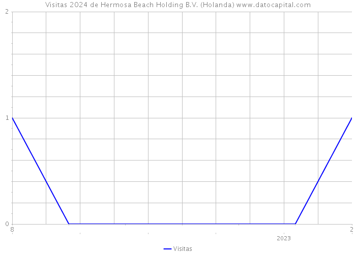 Visitas 2024 de Hermosa Beach Holding B.V. (Holanda) 