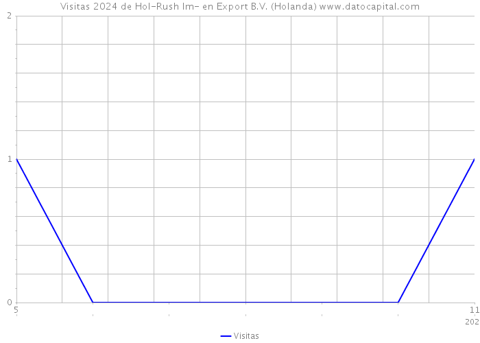 Visitas 2024 de Hol-Rush Im- en Export B.V. (Holanda) 