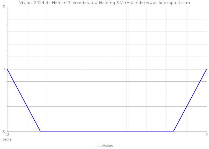 Visitas 2024 de Homan Recreatiebouw Holding B.V. (Holanda) 