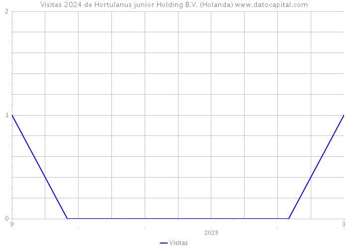 Visitas 2024 de Hortulanus junior Holding B.V. (Holanda) 
