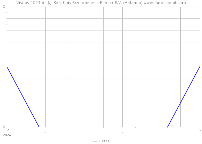 Visitas 2024 de J.J. Borghuis Schoonebeek Beheer B.V. (Holanda) 