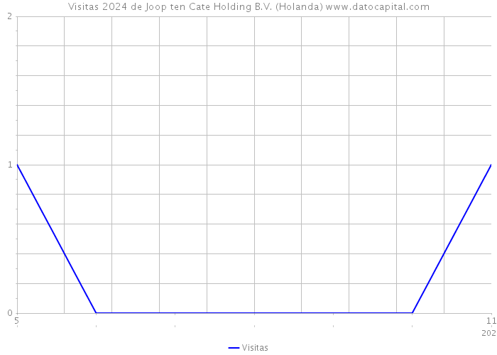 Visitas 2024 de Joop ten Cate Holding B.V. (Holanda) 