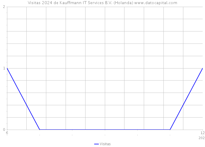 Visitas 2024 de Kauffmann IT Services B.V. (Holanda) 