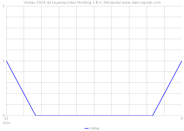 Visitas 2024 de Leyenspolder Holding 1 B.V. (Holanda) 