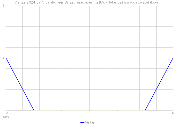 Visitas 2024 de Oldenburger Belastingadvisering B.V. (Holanda) 
