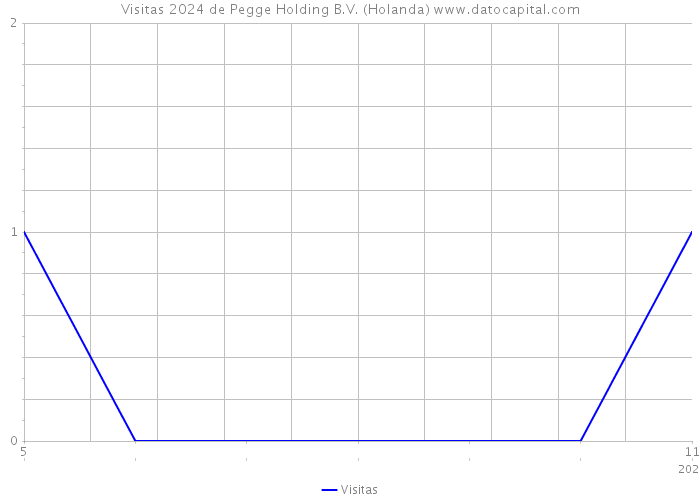 Visitas 2024 de Pegge Holding B.V. (Holanda) 