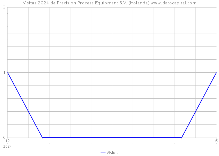 Visitas 2024 de Precision Process Equipment B.V. (Holanda) 