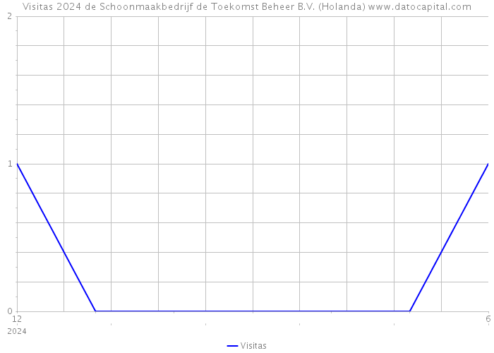 Visitas 2024 de Schoonmaakbedrijf de Toekomst Beheer B.V. (Holanda) 