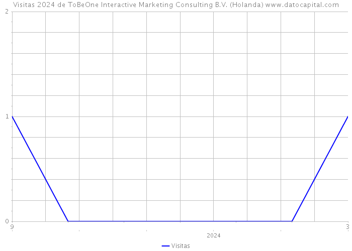 Visitas 2024 de ToBeOne Interactive Marketing Consulting B.V. (Holanda) 