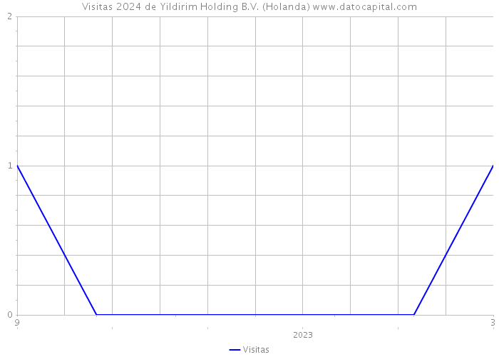 Visitas 2024 de Yildirim Holding B.V. (Holanda) 