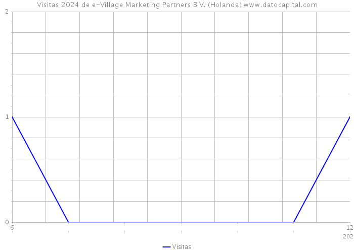 Visitas 2024 de e-Village Marketing Partners B.V. (Holanda) 