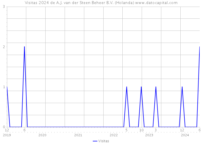 Visitas 2024 de A.J. van der Steen Beheer B.V. (Holanda) 