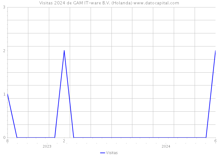 Visitas 2024 de GAM IT-ware B.V. (Holanda) 