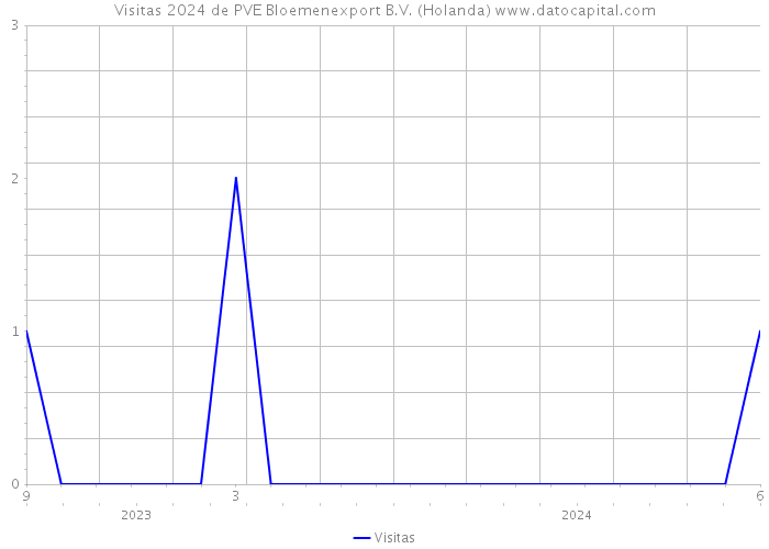 Visitas 2024 de PVE Bloemenexport B.V. (Holanda) 