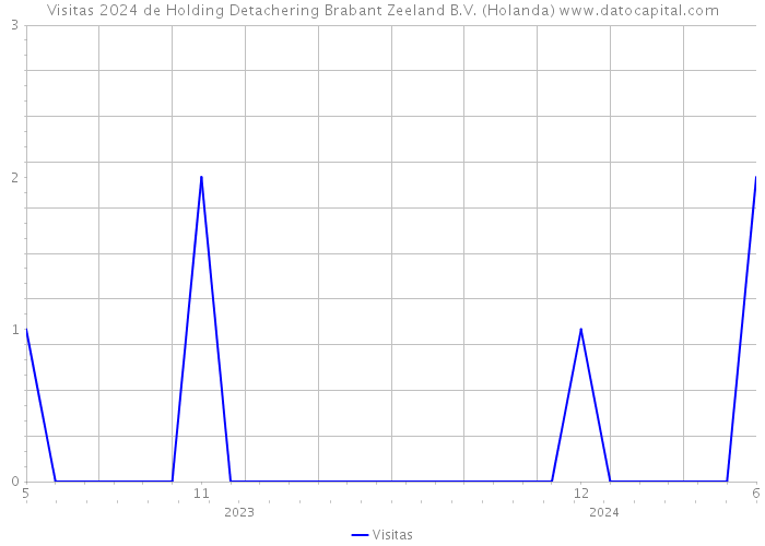 Visitas 2024 de Holding Detachering Brabant Zeeland B.V. (Holanda) 
