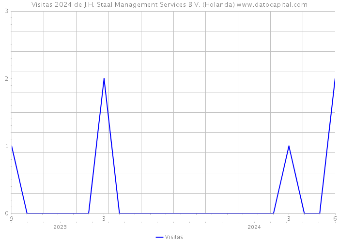 Visitas 2024 de J.H. Staal Management Services B.V. (Holanda) 