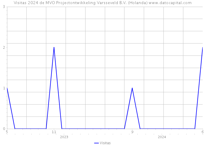 Visitas 2024 de MVO Projectontwikkeling Varsseveld B.V. (Holanda) 