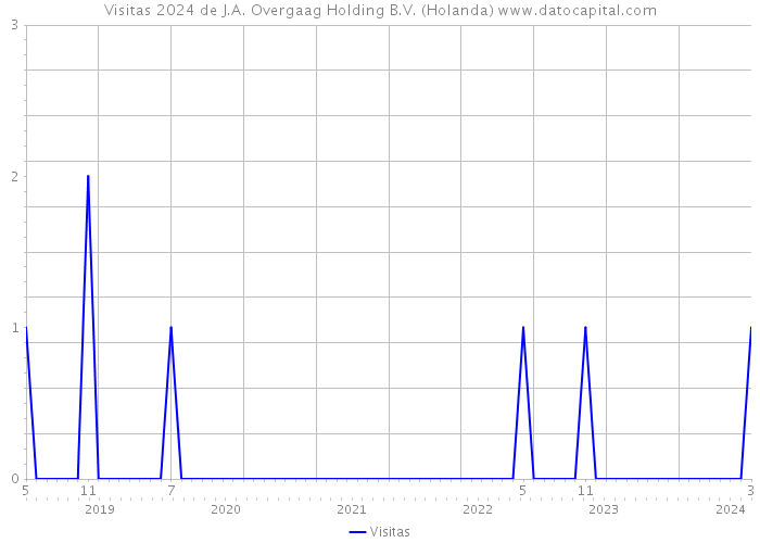 Visitas 2024 de J.A. Overgaag Holding B.V. (Holanda) 
