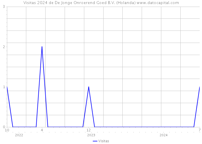 Visitas 2024 de De Jonge Onroerend Goed B.V. (Holanda) 