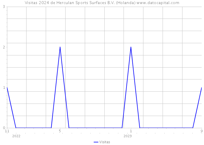 Visitas 2024 de Herculan Sports Surfaces B.V. (Holanda) 