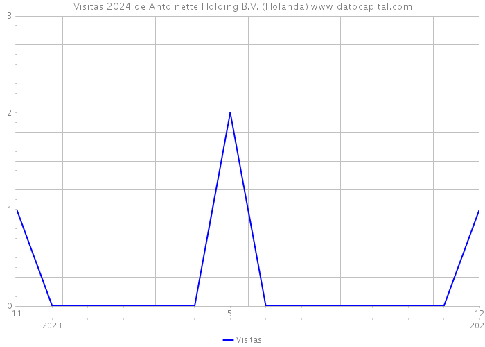 Visitas 2024 de Antoinette Holding B.V. (Holanda) 