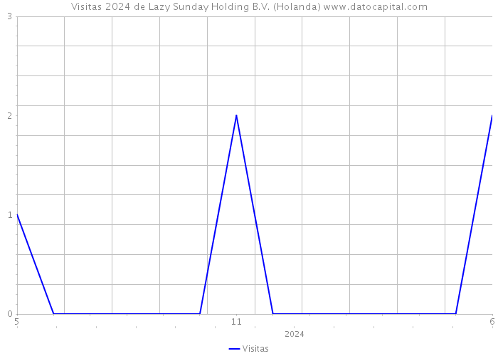 Visitas 2024 de Lazy Sunday Holding B.V. (Holanda) 
