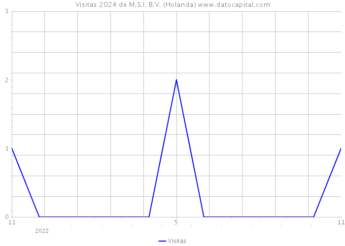 Visitas 2024 de M.S.I. B.V. (Holanda) 