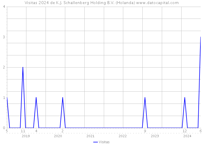 Visitas 2024 de K.J. Schallenberg Holding B.V. (Holanda) 