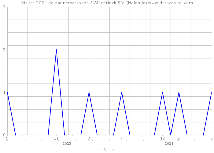 Visitas 2024 de Aannemersbedrijf Wiegerinck B.V. (Holanda) 